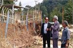 بازگشت سریع خدمات مخابراتی به روستای زرین‌آباد علیا ساری پس از وقوع طوفان