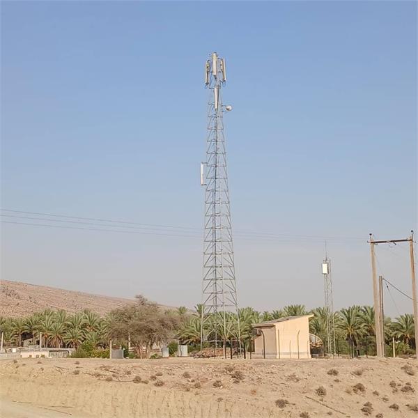 روستای بیدو از توابعه شهرستان دشتستان به اینترنت پرسرعت نسل چهارم مجهز شد